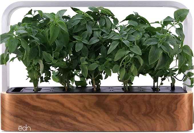 edn SmallGarden Thai Basil Variety SeedPods - 10 Pack