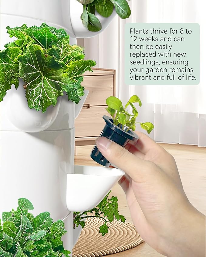 SJZX Hydroponic System Kit + Extra Water Pump Get a Replacement Pump Now