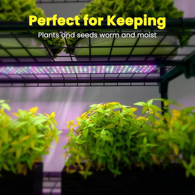 Indoor Greenhouse with Grow Lights 4 Tier 27 L×19 W×62 H Mini Greenhouse with Zippered PVC Cover for Seed Starting Trays Dimmable 2FT 60W Plant Light for Indoor Plants with Timer
