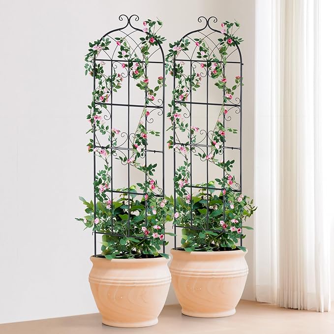 VEVOR 71 x 20 in 2 Packs Rustproof Metal Garden Flower Trellis Outdoor Climbing Rose &amp Cucumber Support Decorative Clematis Trellis for Courtyards &amp Lawns