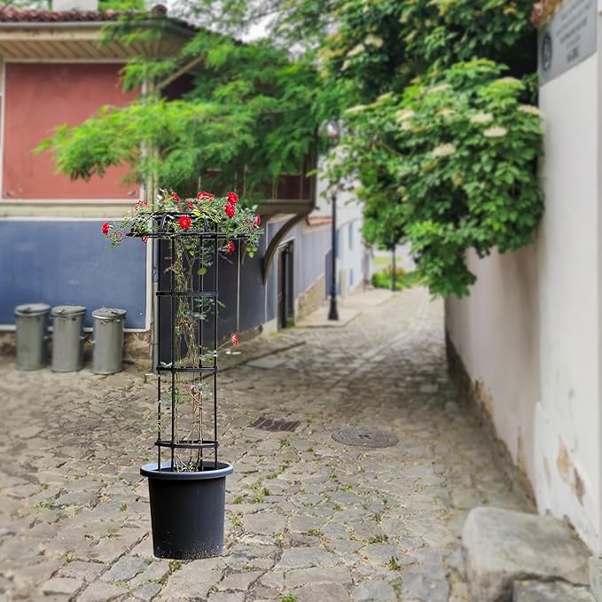 Garden Trellis for Climbing Plants Outdoor Mushroom Top Trellis for Climbing Plants Plant Trellis Support for Potted Plants Climbing Vine Rose Clematis Vegetable Trellis