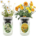 2-Pack Hydroponic Mason Jar Herb Garden Kit Indoor Herb Garden Self-Watering Starter Kit New Christmas Gift for Mom (CalendulaChamomile)