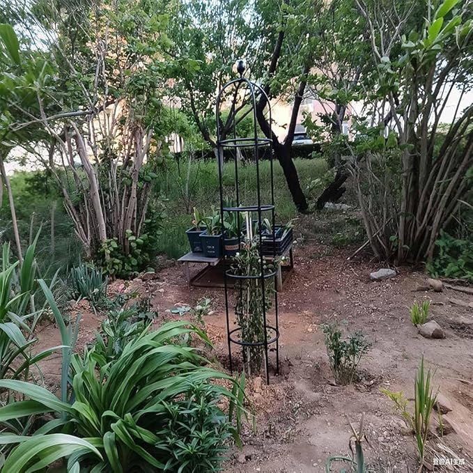 Outdoor Plants Trellis Garden Obelisk Clematis Roses &amp Vegetables Trellis - Plant Cage Flower Shelf for Climbing Plants Roses Vines(Black9.8x69in/25x175cm)