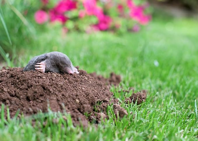 Epic Professional Mole Scram Repellent 10lb Bag