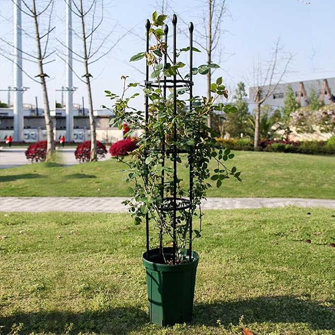 1 Pc Garden Trellis Plant Trellis for Climbing Plants Indoor Outdoor Plant Stake for Flower Vegetable TomatoVines Tomato Cage for Potted Plants(Size:9.8(25cm)*35.4(90cm) inch)
