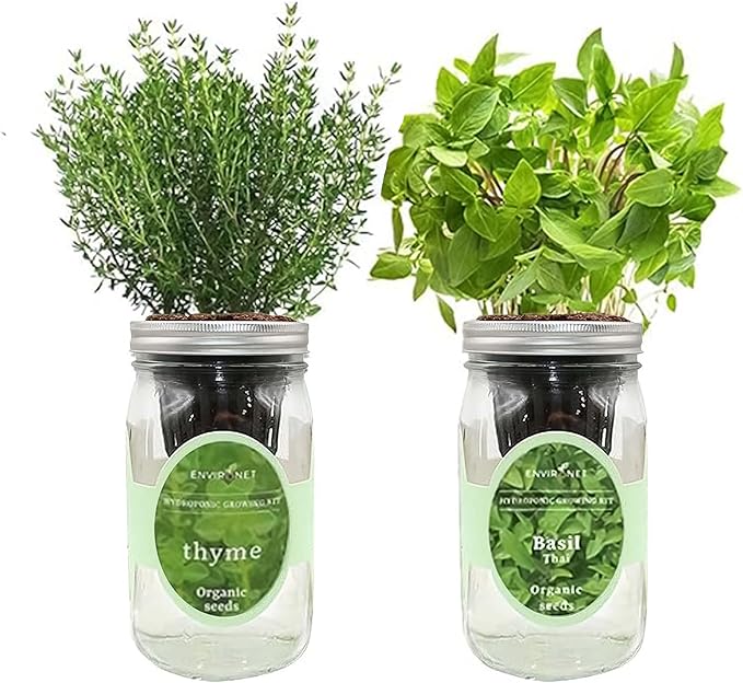 2-Pack Hydroponic Mason Jar Herb Garden Kit Indoor Herb Garden Self-Watering Starter Kit New Christmas Gift for Mom (ThymeThai Basil)