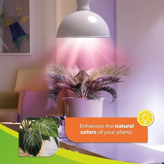 Bio Green 500-USW Florabooster LUM 500 Grow Indoor 60w Lightbulb Lamp with 3m Connection Cable – Energy Saving House Plants – High Light Intensity White