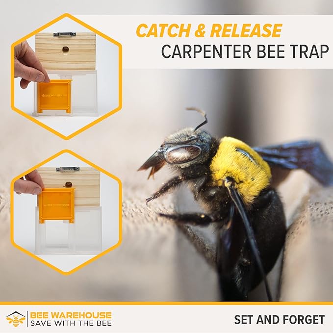 Carpenter Bee Trap - Wood Boring Bee Trap - Unique Catch &amp Release Outdoor Carpenter Bee Trap - Includes Hanging Hardware &amp 5 Bee Dams