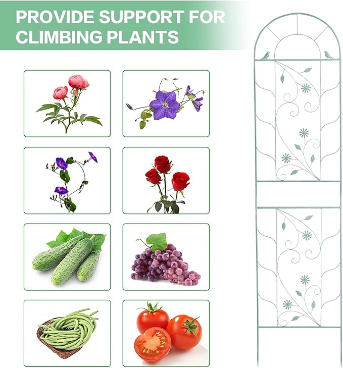 Sungmor Large Metal Garden Trellises for Climbing Plants - 82.5 Inch Tall &amp 2PC Green Pack - Beautiful Retro Style Metal Fence Trellis - Gardening Vines Plant Support for Flower Rose Climbing