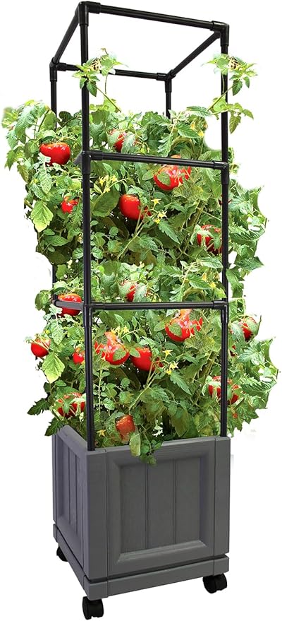 City Picker's XL Trellis Tower