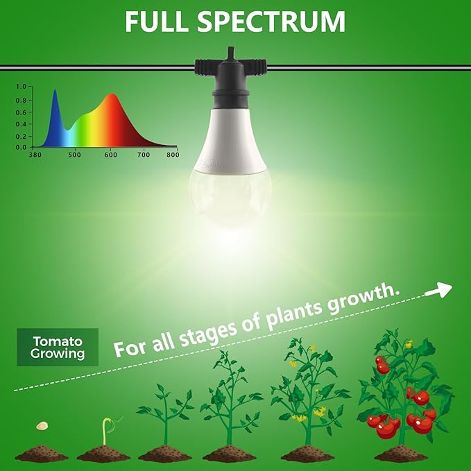 Grow Light Bulbs LED Growth Bulb A25 Full Spectrum Plant Light E26 Base 15W houseplant Growting lamp Seed Start Greenhouse Indoor or Outdoor (Grow Bulb (6 Lights and Cord))