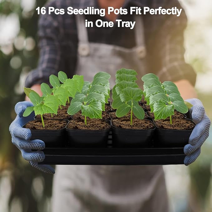 80Pcs 2.5inch Square Nursery Pots with 5Pcs Seed Starting Trays Seed Starter Tray Kit Seeds Starting Germination Seeding Pots with Drain Holes Small Plant Nursery Propagation