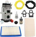 A021004920 Carburetor w/Air Filter Spark Plug Replacement for Echo PB8010H PB8010T EB810 EB810RT WYAB-1 79.9cc 2-cycle Backpack Leaf Blowers