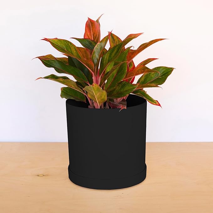 Bloem Mathers Round Planter with Saucer Tray: 10 - Black - Modern Design Durable Plastic Pot Removable Saucer for Indoor &amp Outdoor Use Gardening 2.6 Gallon Capacity