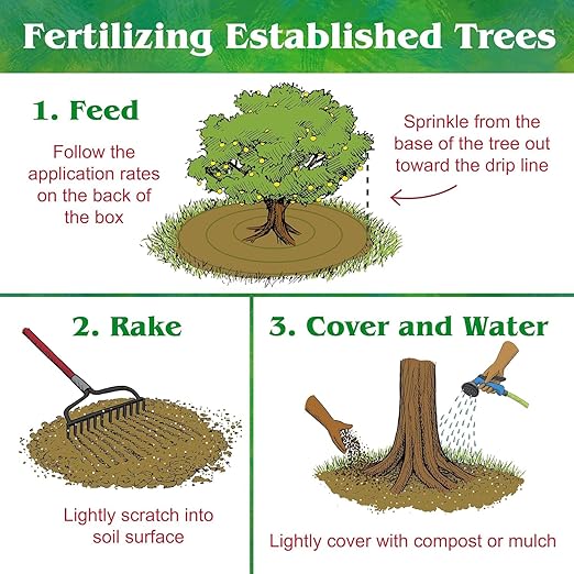 Down to Earth Organic Fruit Tree 6-2-4 Fertilizer 5 lb Boxes – Natural Plant Food for Strong Roots Healthy Growth &amp Bountiful Harvests (Pack of 6)