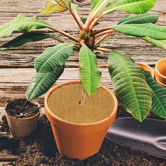 Coconut Fibers Mulch Ring Tree Protector Mat Protection Coconut Mulch Cover Mulch Disc Weed Control Plant Cover Coir Mat for Garden 10pcs (Size : 30cm)