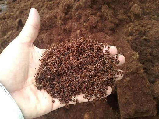 Home and Country Coco Coir Brick 50 Lbs Triple Washed Low EC Coconut Fiber Potting Soil Alternative for Indoor Plants Gardening Essentials and Mulch Compost Base
