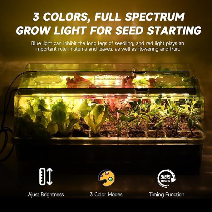 Self-Watering Seed Starter Tray with Grow Lights 60 Cells Seed Starter Kit Full Spectrum Grow Light for Seed Starting Timing Set Germination Tray Grow Kits with High Humidity Domes
