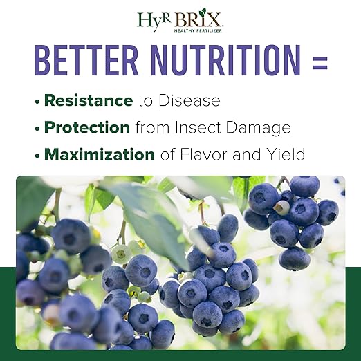 HyR BRIX Slow-Release 6-8-9 Fruit &amp Berry Fertilizer 5lb Bucket - Plant Food with Calcium &amp Sulfur - Essential Micronutrients for Better-Tasting Fruit &amp Higher Yields