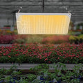 LED Grow Light Full Spectrum LM301B Diodes and Driver Dimmable &amp Daisy Chain Plant Grow Light for Indoor Plants Seedling Growing Flowering Fruiting
