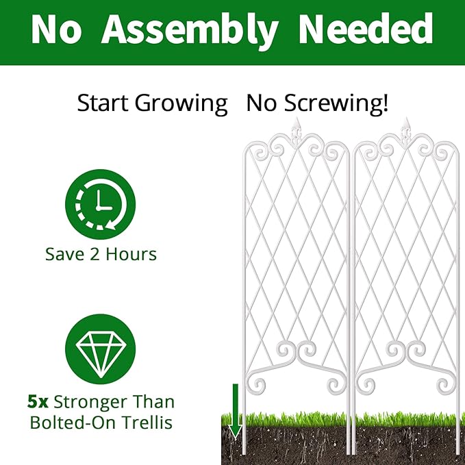 AMAGABELI GARDEN &amp HOME 2 Pack 60” x 18” Garden Trellis for Climbing Plants Outdoor Trellis for Climbing Roses Plant Trellis Vegetables and Flower Vine White Trellis for Ivy Cucumbers