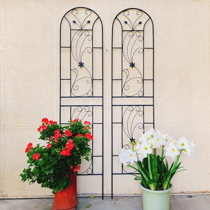 Sturdy Metal Garden Trellis for Climbing Plants – Rust-Resistant Outdoor Flower Support with Elegant Peacock Design (2 Pack)