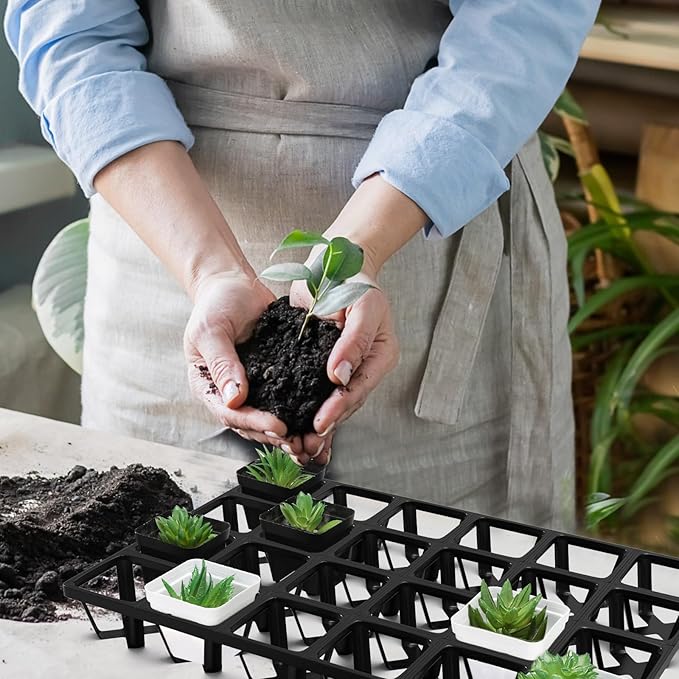 Baderke 6 Pack Flower Pot Moving Tray 24 Cell Square Nursery Pot Tray Plastic Planting Pot Carrying Trays for Moving Nursery Pot for Planting Propagation Germination Plugs Indoor Gardening