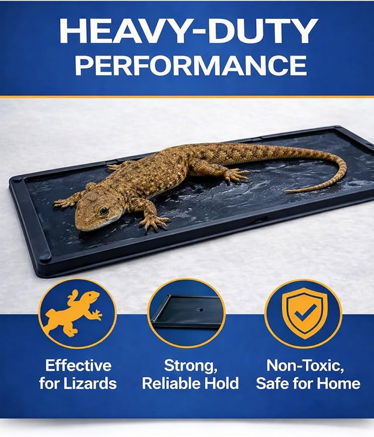 Glue Traps Indoor for Home 12 Pack Bulk Glue Traps for Rats Mice Snakes and Lizards Non-Toxic Adhesive Plastic Trays Insect &amp Spider Pet Safe Pest Control