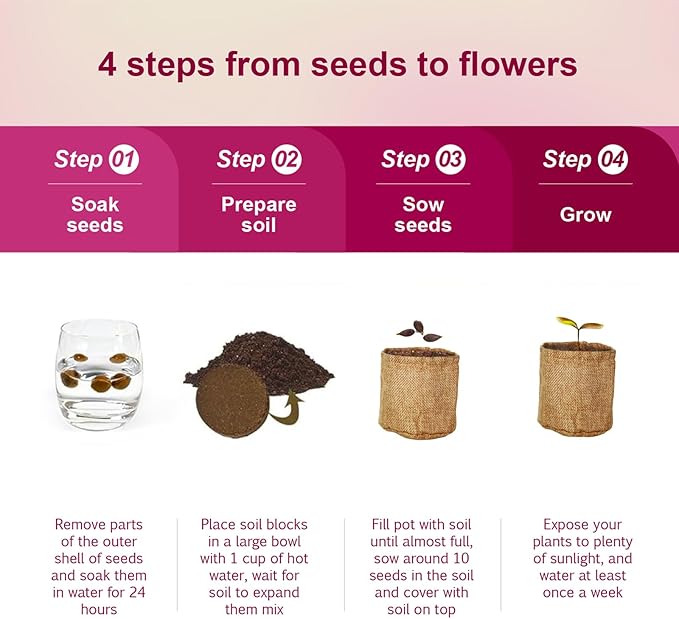 Herbsy 5 Indoor Flower Growing Kit Complete Planting Starter Set with Sunflower Zinnia Marigold Cosmos Cornflower Seeds Unique Birthday and Christmas Gifts for Women Men Plant Lovers