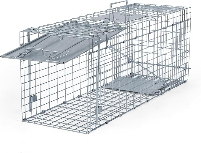 Humane Way Folding 32 Inch Live Humane Animal Trap - Safe Traps for All Animals - Raccoons Cats Groundhogs Opossums - 32 L x 10.2 W x 12.2 H