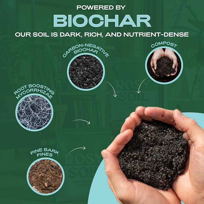 Rosy Soil Indoor Plant Soil Bundle - Houseplant Aroid &amp Cactus Potting Mixes - Peat-Free Biochar-Powered Living Soil for Indoor Gardening - 3 × 4 Qt