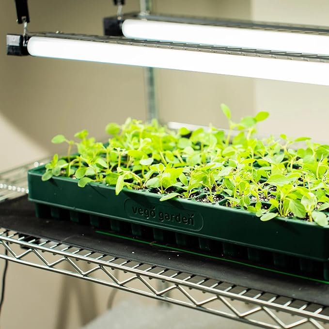 Vego garden 10 x 20 76 Cells Seed Starter Tray Stackable Seedling Starting Germination Trays for Plants Planting Vegetables Herbs Flowers 4 Sets