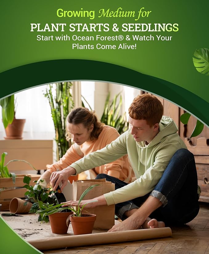 FoxFarm Ocean Forest Potting Soil for Container Gardens - Light Aerated Texture with Fish Meal Crab Meal Earthworm Castings - Houseplant Potting Mix for Seedlings &amp Plant Starts - 4 x 12 Quart