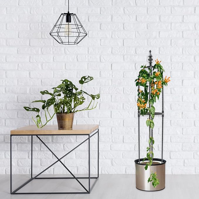 VICASKY Black 8mm Vine Climbing Rack and Garden Trellis for Indoor Outdoor Plants 20cm Diameter U-Shaped Climbing Frame 90cm Height Plant Support Structure