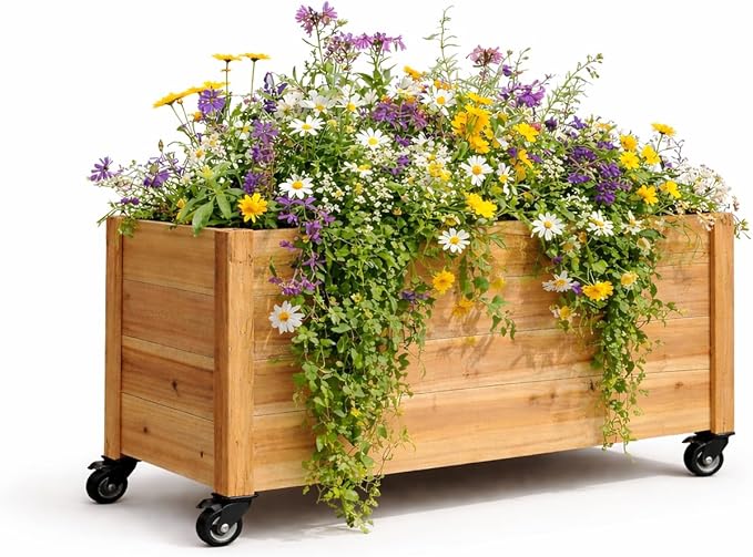 Tall Cedar Planter Box with Locking Wheels – Mobile Raised Garden Bed for Patio Balcony &amp Business Entrances – Wooden Planter with Brakes for Flowers Herb &amp Vegetable Plants (30 x 16.5 x 2
