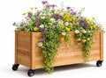 Tall Cedar Planter Box with Locking Wheels – Mobile Raised Garden Bed for Patio Balcony &amp Business Entrances – Wooden Planter with Brakes for Flowers Herb &amp Vegetable Plants (30 x 16.5 x 2