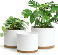 Large Plant Pots Set of 3 – 8 9 10 Indoor Flower Pots with Drainage Holes and Saucers Big Planters for Monstera Fiddle Leaf Fig Snake Plant – 5 Colors