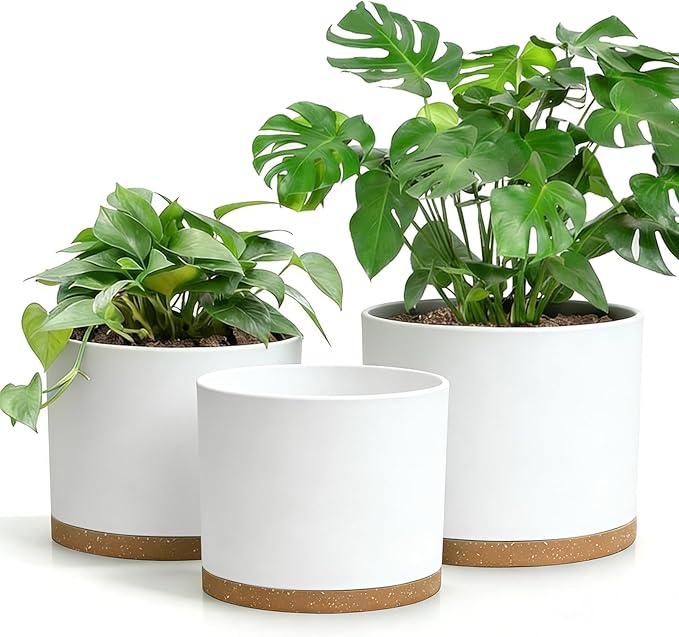 Large Plant Pots Set of 3 – 8 9 10 Indoor Flower Pots with Drainage Holes and Saucers Big Planters for Monstera Fiddle Leaf Fig Snake Plant – 5 Colors