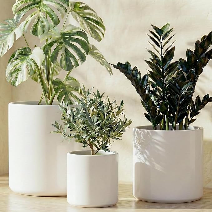 LE TAUCI Ceramic Pots for Plants 10/8/6 Inch Indoor Planters with Draiange Hole Silicone Plug &amp Mesh Pad Modern Minimalist Pots for Home Office Set of 3 Satin White