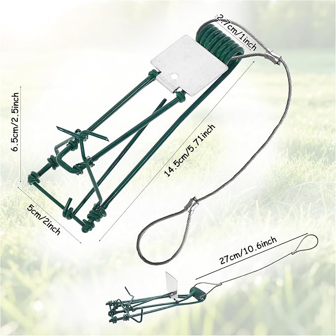 Gopher Trap with Chain 4/8 Pcs Outdoor Gopher Mole Vole Traps Killer for Lawns Easy Set (4)