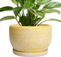SQOWL Ceramic Flower Pots - 8 inch Plant Pot Indoor with Drainage Hole and Saucer Modern Ceramic Planter Outdoor Round Decorative Planter Living Room Home Decor Gifts for Plant Lovers Yellow