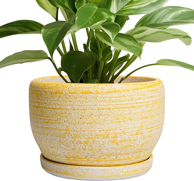 SQOWL Ceramic Flower Pots - 8 inch Plant Pot Indoor with Drainage Hole and Saucer Modern Ceramic Planter Outdoor Round Decorative Planter Living Room Home Decor Gifts for Plant Lovers Yellow