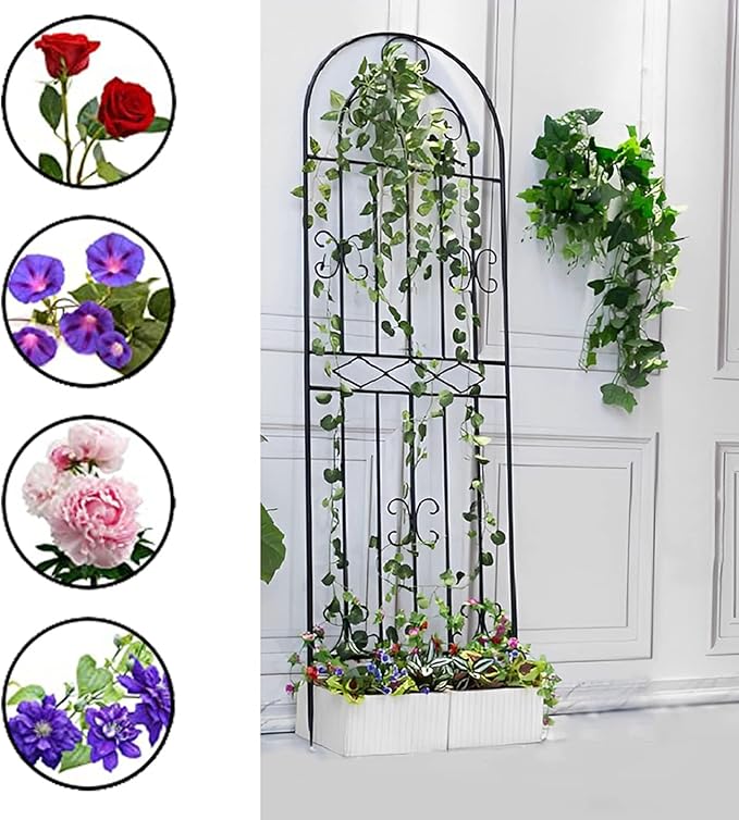71x20″ Metal Climbing Plant Trellis Rose Garden Trellis Anti-Rust Metal Climbing Frame Plant Support Stakes Decorative Privacy Screen Black/White (Color : Black Size : 180x50cm)