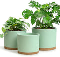 Large Plant Pots Set of 3 – 8 9 10 Indoor Flower Pots with Drainage Holes and Saucers Big Planters for Monstera Fiddle Leaf Fig Snake Plant – 5 Colors