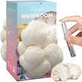 USA Organic 4lbs Lions Mane Mushroom Growing Kit Double-Side Mushroom Grow Kit Indoor Harvest Gourmet Mushrooms in 10 Days Top Gardening Gift Holiday Gift
