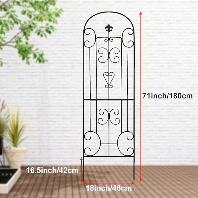 70X18 Metal Garden Trellis for Climbing Plants Climbing Plant Support Heavy-Duty Steel Garden Trellis for Indoor &amp Outdoor Vines Plant Rose Vegetable Support Black (2 Pattern-C)