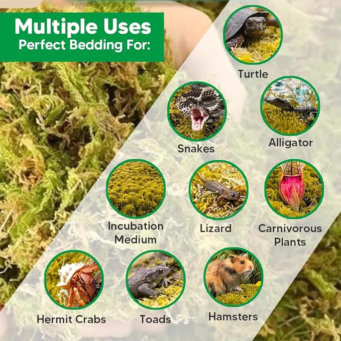 Natural Long Fiber Sphagnum Moss 1196QT for Orchid Potting Mix and Moss Pole for Plants Indoor. Ideal for Propagating Plants Maintaining Humidity for Reptiles Isopods in Paludarium (22 lb)