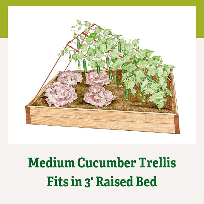 Gardener's Supply Company Cucumber Trellis | Garden Bed Support for Cucumbers &amp Climbing Plants | Outdoor Plant Support w/ 4 Grids for Easy Harvesting | 32 x 48 - Medium (Red)