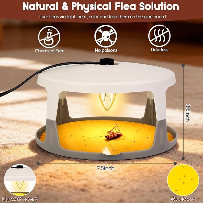 Flea Traps for Inside Your Home 2 Pack Indoor Flea Light Electric Bed Bug Insect Killer with 8 Sticky Pads &amp 8 Light Bulb Replacement Natural Pest Control w/Glue Discs Refills Safe for Kid Pet