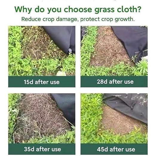 20 Sheet Gardening Weed Control Fabric Ventilated Presentation Substance Reduces Soil Abrasion for Lawns Flowerbeds Easy Installation Plan Nonwoven Grass Fabric